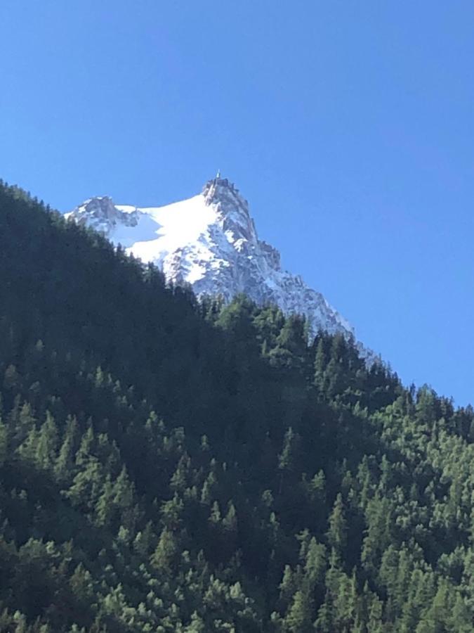 Aiguille Du Midi - Le Chamo'Nid Lejlighed Chamonix Eksteriør billede
