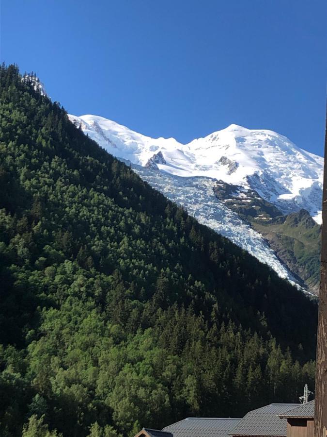 Aiguille Du Midi - Le Chamo'Nid Lejlighed Chamonix Eksteriør billede