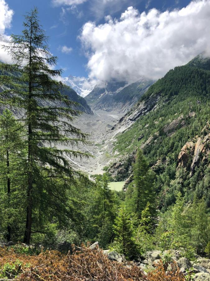 Aiguille Du Midi - Le Chamo'Nid Lejlighed Chamonix Eksteriør billede
